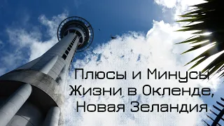 Плюсы и Минусы Жизни в Окленде, Новая Зеландия