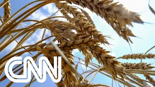 Insegurança alimentar no Brasil foi piorada com guerra na Ucrânia | LIVE CNN