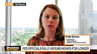 Credit Cracks Are Quite Modest: Barings Kelly Burton