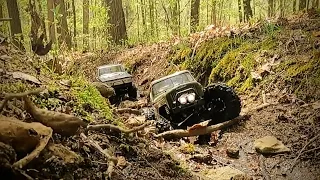 Element RCs. Trail walker black & Ecto on a fresh trail.