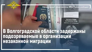 Ирина Волк: Полицейские задержали подозреваемых в организации незаконной миграции