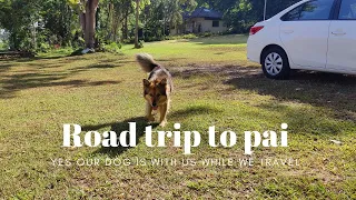 Chiang Mai to Pai by Car - Thailands best roadtrip - Travel vlog day 150