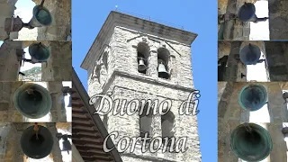 Le campane del Duomo di Cortona (AR) V.112