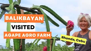 Balikbayan impressed after visited Agape Agro Farm for the first time