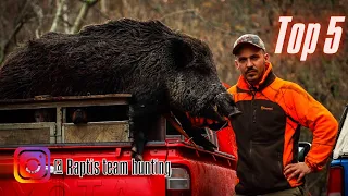 TOP 5 WILD BOAR HUNT'S / BEST SHOOTS /🇬🇷 GREECE