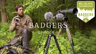 WILDLIFE PHOTOGRAPHY behind the scenes - Badgers Ep2 | On assignment, sound recording, camouflage z6