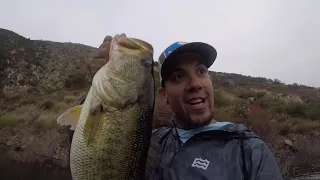 SAN VICENTE LAKE CA SWIMBAIT FISHING | SWIM BAIT FISHING