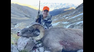 Shoshone Sheep Stalk: Wyoming Bighorn Sheep Hunt