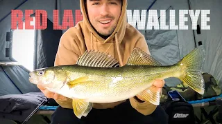 Best Tips for Walleyes on Upper Red Lake (First Ice 2023)