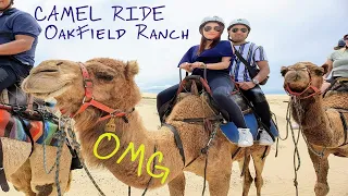 Awesome Experience at  Oakfield Ranch Camel Rides | Port Stephens | NSW