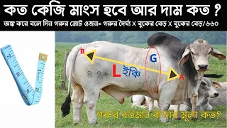 গরু দেখে বলে দিন কত কেজি মাংস হবে ? দুই মিনিটেই গরুর ওজন নির্ণয়ের সহজ পদ্ধতি। হাটে গরু কেনার কৌশল 🔥