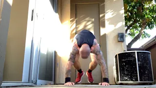 Wolf’s Hour of Power Burpee Routine (375 burpees, 800 pushups). (DESCRIPTION BELOW).