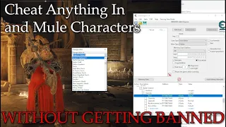 How To Use Cheat Engine And Mule Characters In Elden Ring Without Getting Banned | PvP Tutorial