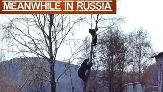 Bear Chases Man Up a Tree