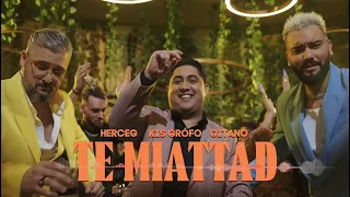 HERCEG x Kis Grófo x Gitano - Te miattad (rtbR Club Mix)