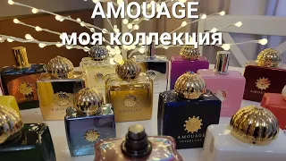 AMOUAGE Моя коллекция ароматов #amouage #парфюмерныйгардероб #парфюмерия #decants