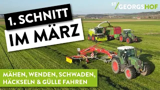 1. Schnitt im März 2024! Ackergras mähen, häckseln und Gülle fahren! 4K