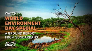 World Environment Day Special: A Ground Report From Sundarbans