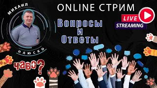 Поговорим онлайн?  Любые Ваши вопросы! Стрим #2