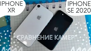 iPhone XR vs iPhone SE 2020 камеры и отличия