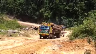 Sabah logging truck