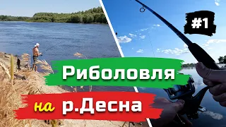 Риболовля на Десні. Відпочинок з друзями. Клює біла риба.