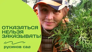 Редкие Хвойные от "Русинов сад" 1 часть