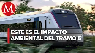 Fonatur presenta la manifestación de impacto ambiental del Tren Maya