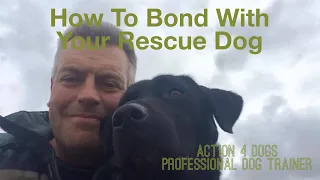 How to Bond With Your Rescue Dog