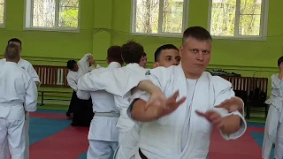 Семинар айкидо Айкикай под руководством Имамура Татцунори | Aikido | 合気道