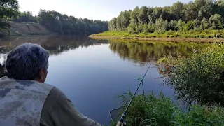 Фидер на Днепре после Перерыва. На что в этот раз Лучше Клюет?! Рыбалка с Ночёвкой.