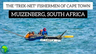 THE "TREK-NET" FISHERMEN OF CAPE TOWN