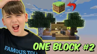 ONE BLOCK #2 ΤΙ ΝΑ ΤΑ ΚΑΝΟΥΜΕ ΤΟΣΑ ΖΩΑΚΙΑ FAMOUS GAMES @LetsPlayKristina