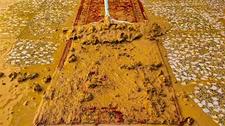 Fantastic Way To Super Clean Deep Cleaning a Rug That Smelled