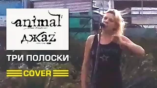 ДЕВУШКА КРАСИВО СПЕЛА ПЕСНЮ ТРИ ПОЛОСКИ ANIMAL ДЖАZ