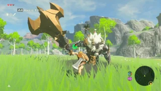 Breath of the Wild - Master Mode - Plateau Lynel with no shrines/runes