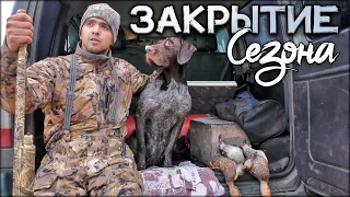 Закрытие сезона охоты на утку | Охота с собакой на осенних крякашей