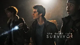 the death cure | survivor