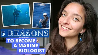 5 reasons why you SHOULD be a MARINE BIOLOGIST