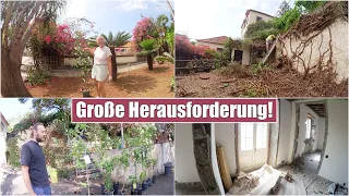 Alles muss raus! 🤯 Schatz gefunden & Tropische Obstbäume | Isabeau