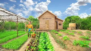 Survival Girl Camping Alone Think to Build Dream Home is Vegetable Garden House in Forest by Skills