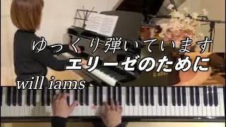 【とてもゆっくり動画  エリーゼのために/ベートーヴェン】ペダル画像＆メトロノーム付き/Beethoven