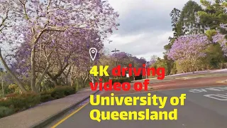 [4K] Driving at University of Queensland(UQ) Brisbane Australia