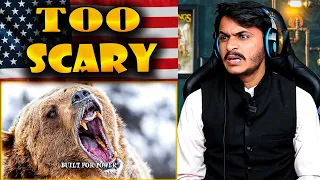 Asian Guy Reacts to The Top 10 Most Dangerous Animals in the USA