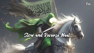 Ahrarun Ahrarun ائر أنا ثائر | الرادود هادي فاعور | (Slow+Reverb) || #naat