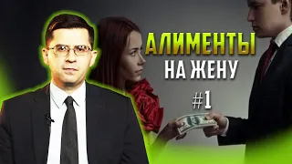 Алименты жене – как не стать «Аленем» // часть 1