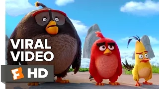 The Angry Birds Movie VIRAL VIDEO - New Year's Resolutions (2016) - Animated Movie HD