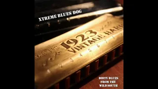 Xtreme Blues Dog - I Always Choose the Wrong Side of the Road.