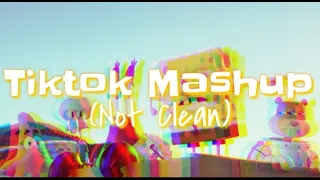 Tiktok Mashup (Not Clean) Part3