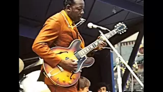 Slim Harpo - You Can't Make It